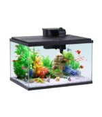 Aqua Culture 10-Gallon Glass Aquarium Starter Kit