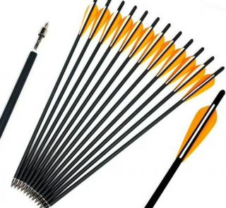 12pcs 20" Carbon Shaft Bio Crossbow Bolts Arrows Screw-in Removable Arrowhead Moon Nocks for Archery Hunting