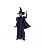 NBCUniversal Kids' Wicked Elphaba Halloween Deluxe Costume